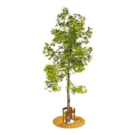 tree guards