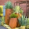 Teraspott Corten