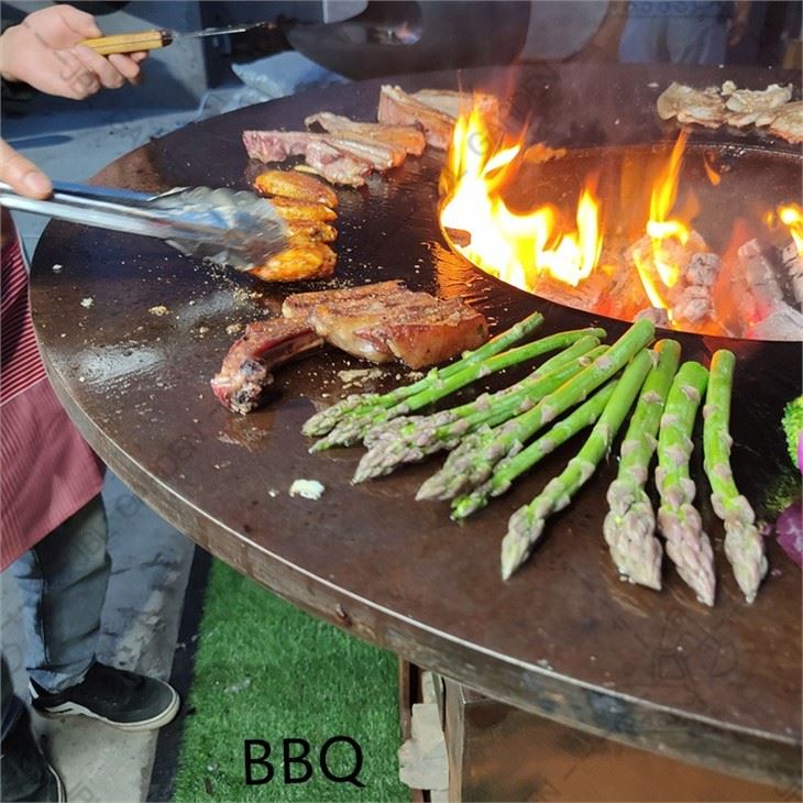 Wood Burning Stove Grill