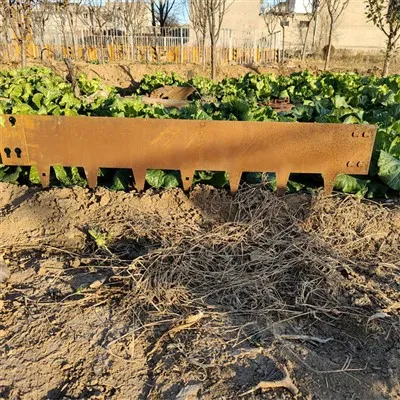 Corteni terasest aiaserv aia jaoks