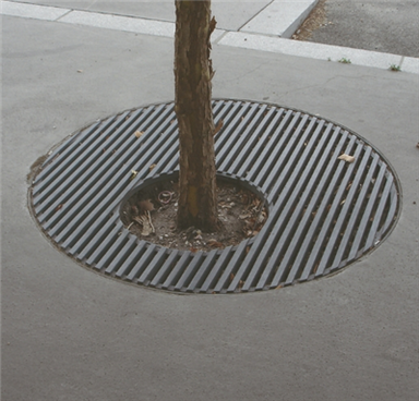 Kõnniteede puukatte kate