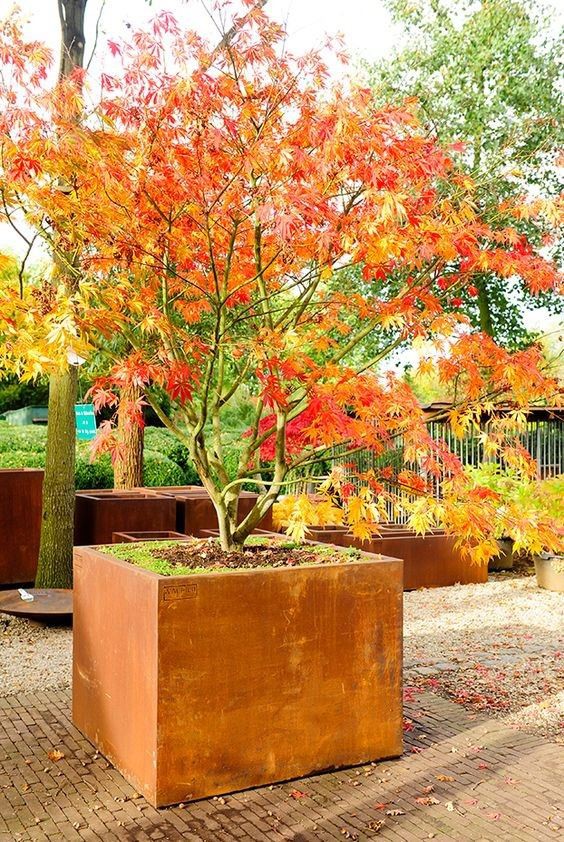 The Use Of Flower Pots